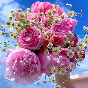 Meet your Posher, Georgette